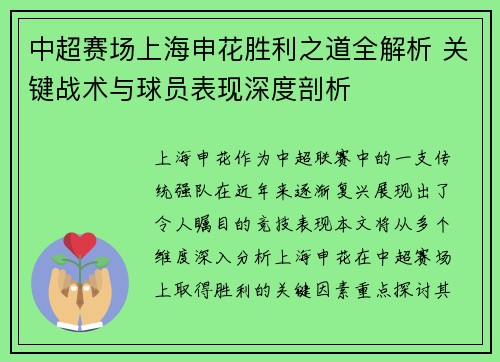中超赛场上海申花胜利之道全解析 关键战术与球员表现深度剖析