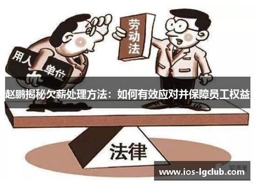 赵鹏揭秘欠薪处理方法：如何有效应对并保障员工权益