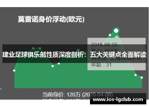 建业足球俱乐部性质深度剖析：五大关键点全面解读