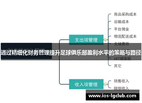 通过精细化财务管理提升足球俱乐部盈利水平的策略与路径