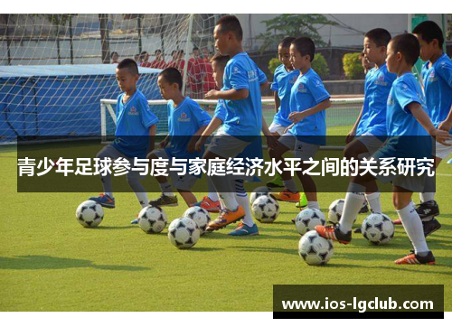 青少年足球参与度与家庭经济水平之间的关系研究