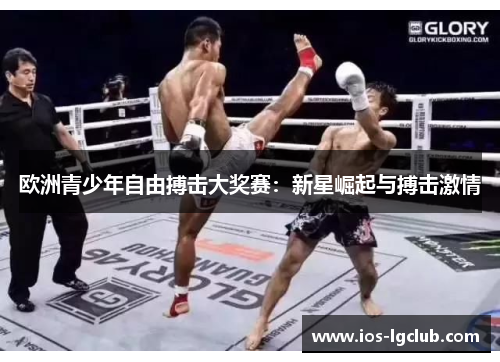 欧洲青少年自由搏击大奖赛：新星崛起与搏击激情