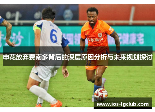 申花放弃费南多背后的深层原因分析与未来规划探讨